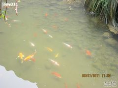 -中国湿地博物馆