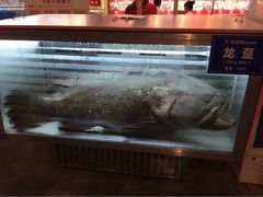 海珊瑚主题餐厅(湛江店)-御唐府海珊瑚主题餐厅
