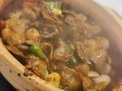 -天宝食坊·啫啫煲大排档(西华路店)