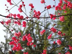 -白塘生态植物园