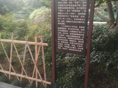 -西湖外事游船(花港观鱼码头)