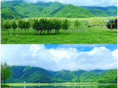 -大九湖