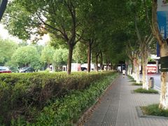 -南京奥林匹克体育中心-体育馆