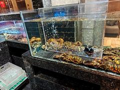 -许家菜(望江店)
