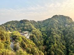 -南山植物园