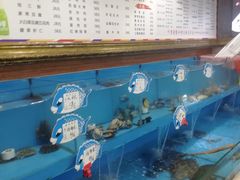水产区-付家庄小渔村(香周路店)