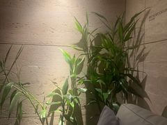 -villaa·别墅·融合菜西餐厅