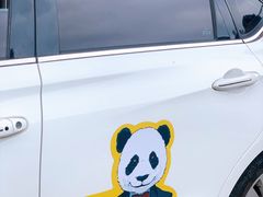 -熊猫不走生日蛋糕(东城店)