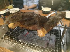 -柿子树炭烤羊腿(金台路店)