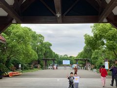 -上海海湾国家森林公园