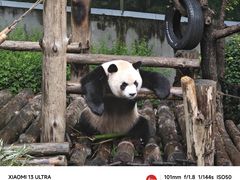 -黔灵山公园