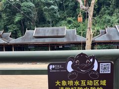 -野象谷景区
