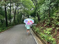 -三水森林公园