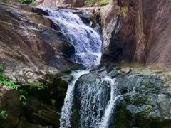 -广州白江湖森林公园