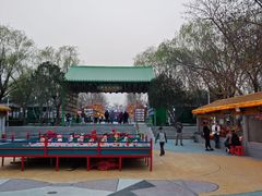 -青龙湖公园