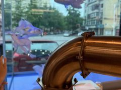 -泰白海鲜烧烤大全