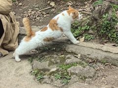 -黔灵山公园