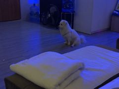 -鸿鹄足浴店(东门店)