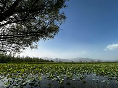 -野鸭湖国家湿地公园