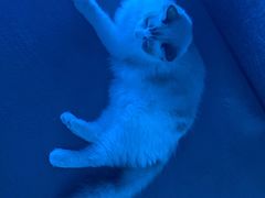 -零纪元VR体验馆·桌游(黄浦店)