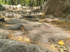 -阳台山自然风景区