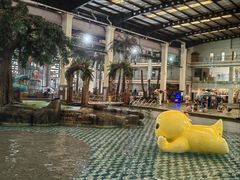 -南宫温泉水世界