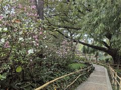 -晓港公园