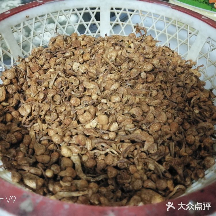 营养丰富味道鲜美的虫草花焖排骨