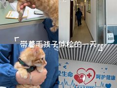 -守诺宠物医院·眼科· 特色牙科·异宠专科(虹口店)