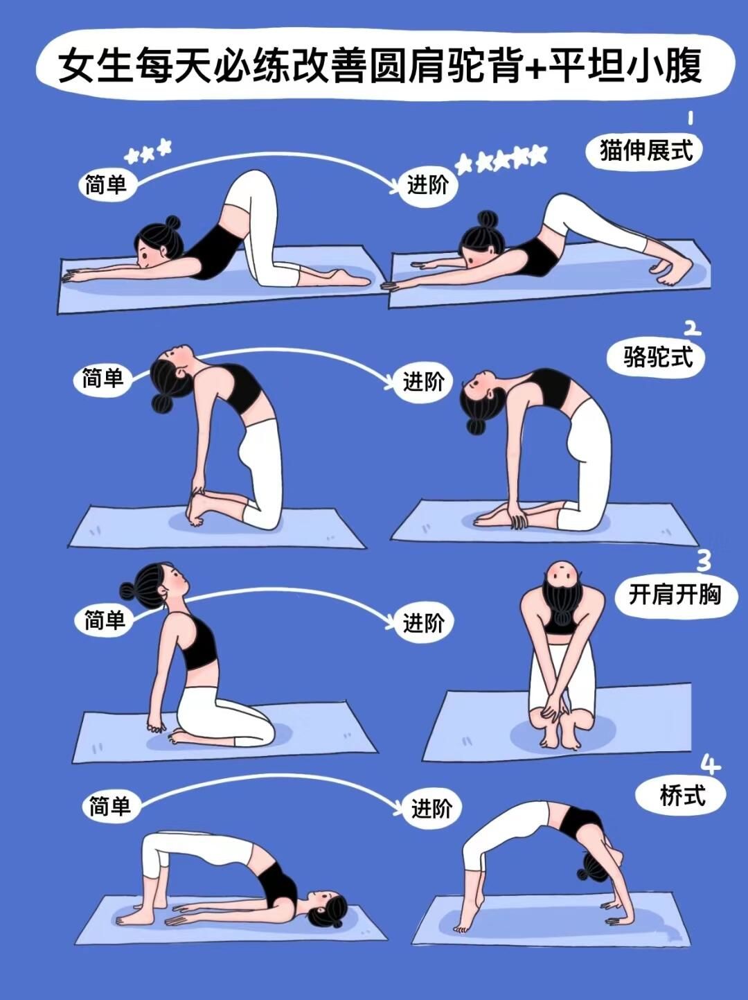 瑜伽女生必练的体式,以下是几种体式的详细介绍:
7815猫伸展