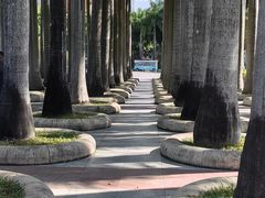 -深圳国际园林花卉博览园