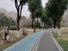 -堤角公园