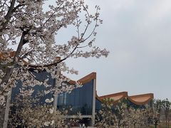 -隋唐大运河文化博物馆