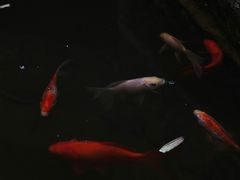 -自贡市盐业历史博物馆