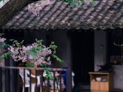 -仓桥直街