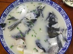 -全乐鱼馆·淳牌有机鱼直营店