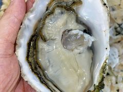特级刺身生蚝-官塘鱻鱻鱼生