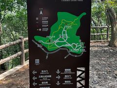 -上海佘山国家森林公园天马山园