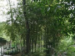 -汇龙潭