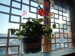 -福茂源横山铁锅羊肉(牡丹园店)