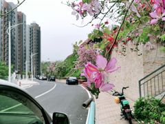 -小南山公园