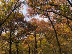 -鹫峰国家森林公园