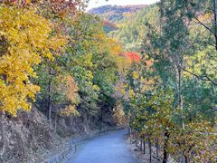 -鹫峰国家森林公园