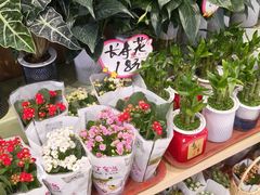 -永旺梦乐城(金银潭店)