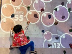 -中国宋庆龄青少年科技文化交流中心