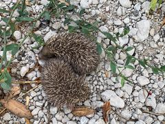 -天津东丽湖风景区