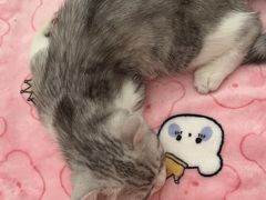 -美联众合24小时·皮肤科·外科·全科诊疗中心(华苑分院)