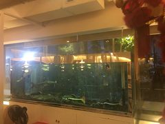 -衡山汇·高级粤菜(霄云路店)