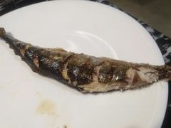 烤秋刀鱼-松坂屋日料自助(长城路店)