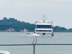 -鼓浪屿内厝澳码头(轮渡站)